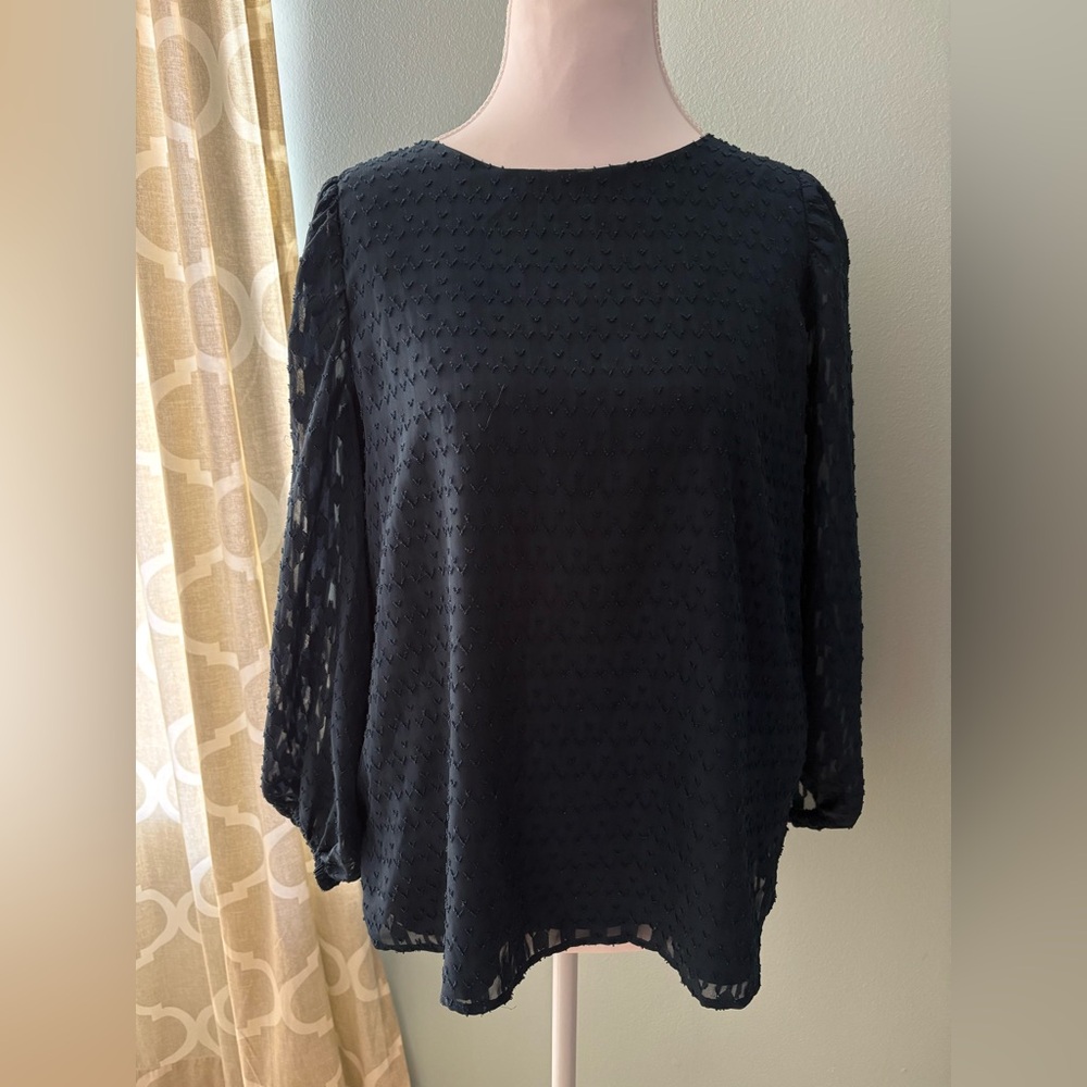 Sheer Sleeve LOFT Blouse